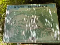 札所三十一番 観音院の写真・動画_image_452496