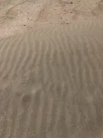 浜岡砂丘の写真・動画_image_452715
