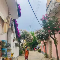 アナカプリの写真・動画_image_452741