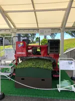 ふじのくに茶の都ミュージアムの写真・動画_image_452743