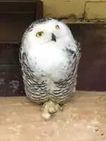 掛川花鳥園の写真・動画_image_452760