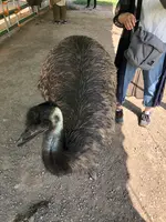 掛川花鳥園の写真・動画_image_452764