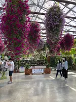 掛川花鳥園の写真・動画_image_452765