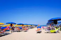 Da Luigiの写真・動画_image_452789