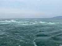 うずしお観潮船の写真・動画_image_453131