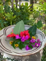 やちむんの里の写真・動画_image_453202