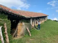 やちむんの里の写真・動画_image_453204