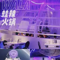 WALA蛙辣火鍋の写真・動画_image_453468