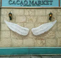 Angel Library by CACAO MARKET（エンジェルライブラリー）の写真・動画_image_453472