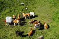 フロナルプシュトックの写真・動画_image_453492