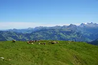 フロナルプシュトックの写真・動画_image_453512