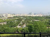 ハヌル公園/ハヌルコンウォン/하늘공원の写真・動画_image_453778