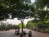 ハヌル公園/ハヌルコンウォン/하늘공원の写真・動画_image_453779