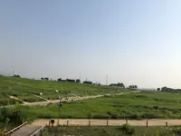 ハヌル公園/ハヌルコンウォン/하늘공원の写真・動画_image_453781
