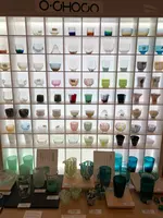 富山キラリの写真・動画_image_453864