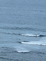 果報バンタの写真・動画_image_454181