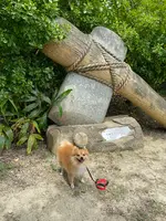 仲原遺跡の写真・動画_image_454185