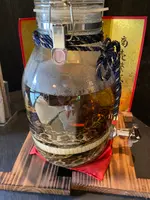 百年古家 大家の写真・動画_image_454308