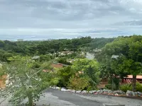百年古家 大家の写真・動画_image_454311