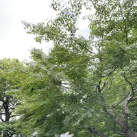 旧朝倉家住宅の写真・動画_image_454667