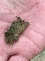 ニライビーチの写真・動画_image_454685