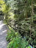 水潜寺の写真・動画_image_454732