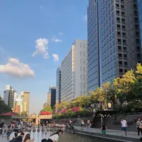 清渓川/チョンゲチョン/청계천の写真・動画_image_454869