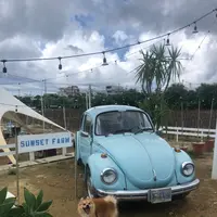 SunSet Farmの写真・動画_image_454907