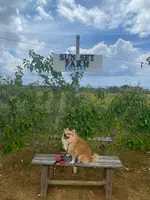 SunSet Farmの写真・動画_image_454913