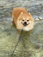 あーまん！Beachの写真・動画_image_454924