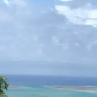 くるくまの森 展望広場の写真・動画_image_455255