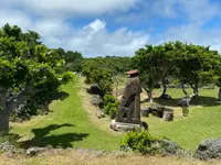 くるくまの森 展望広場の写真・動画_image_455256