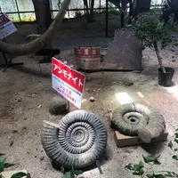 カフェくるくまの写真・動画_image_455261
