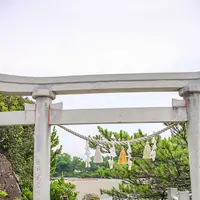 桂浜の写真・動画_image_455269