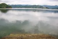 鳴無神社の写真・動画_image_455273