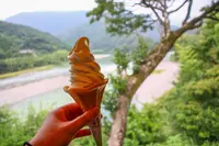 高知アイス売店の写真・動画_image_455277
