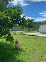REEF MAGIC Shikiya Beach BBQ Parkの写真・動画_image_455452