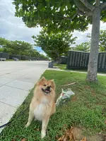 平和祈念公園の写真・動画_image_455457