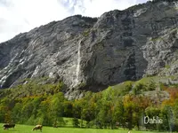 Stechelberg, Schilthornbahnの写真・動画_image_455636