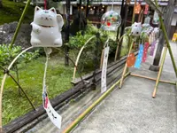 中村藤吉本店の写真・動画_image_456018