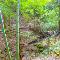 茶湯寺の写真・動画_image_456021
