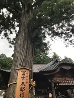 北口本宮冨士浅間神社の写真・動画_image_456027