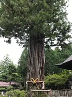北口本宮冨士浅間神社の写真・動画_image_456029