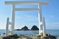 糸島市の写真・動画_image_456387
