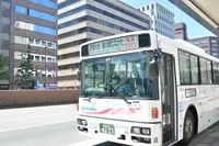 宗像大社の写真・動画_image_456406