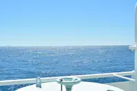 大島の写真・動画_image_456412