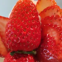 プリンス オブ ザ フルーツ （PRINCE of the FRUIT ）の写真・動画_image_456425