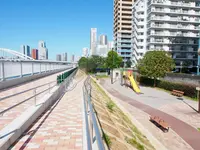 勝どき見晴らし公園の写真・動画_image_456740