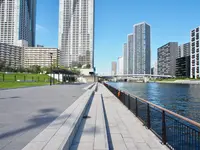 豊海運動公園の写真・動画_image_456741