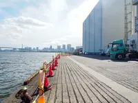 豊海埠頭の写真・動画_image_456743